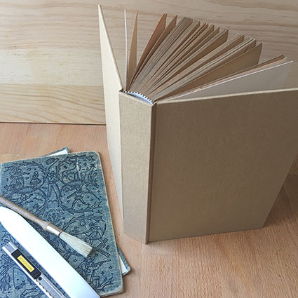 photo of paperback with hard case